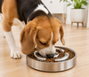 ZayonPet Feeding Bowl
