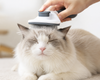 ZayonPet Grooming Brush