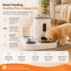 ZayonPet Automatic Pet Feeder and Water Dispenser Bowl